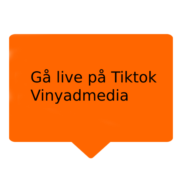 Hvordan gå live på Tiktok i 2024 Vinyadmedia